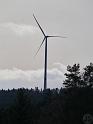 Wildenberg (4)